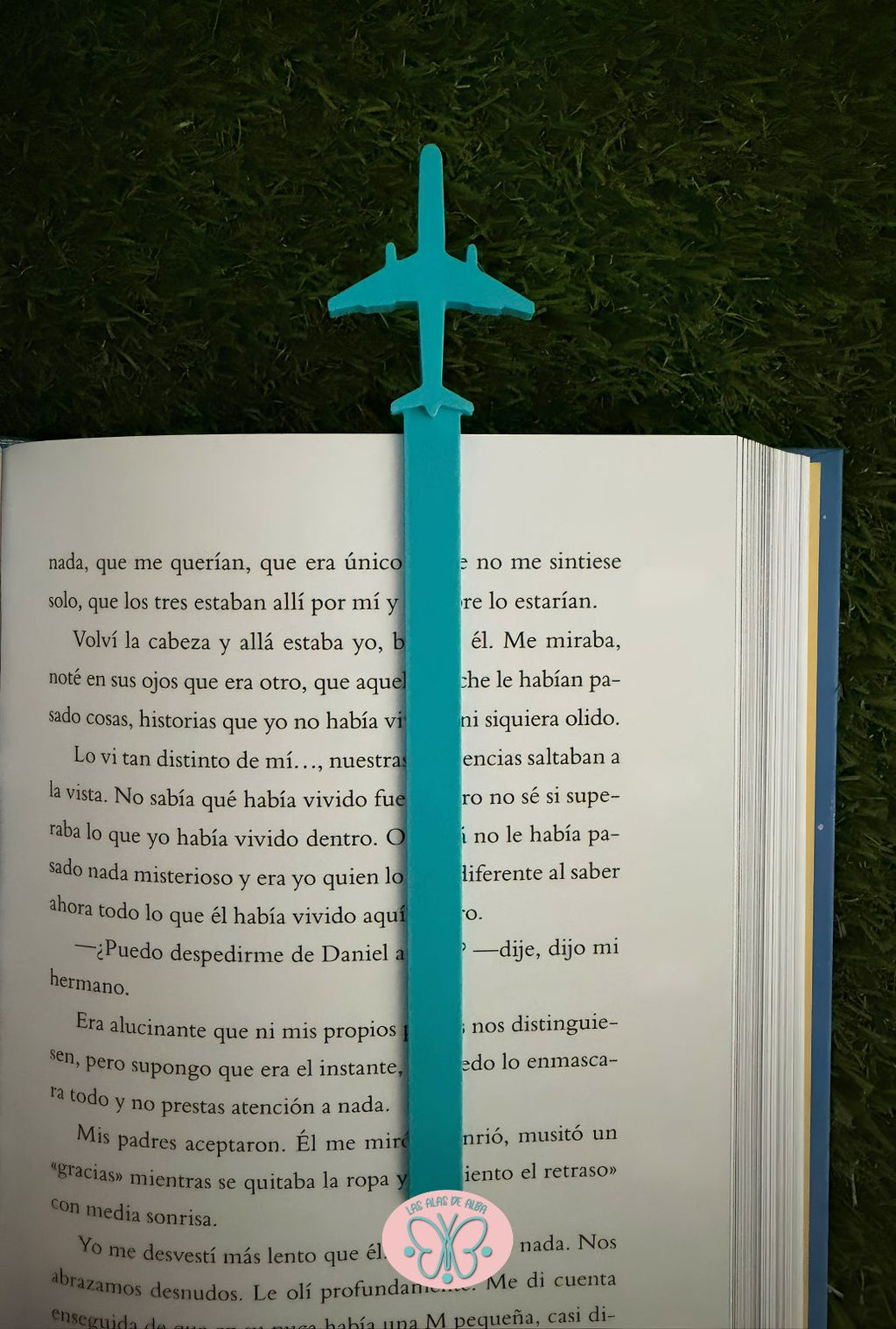 ✈️ Punto de lectura avión